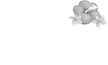 BellavistaRelax